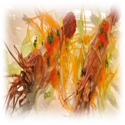 menu img
